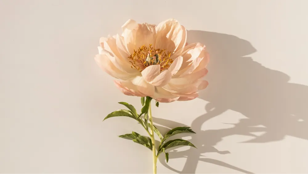 autoestima corporal y relacion con el cuerpo - sexologa online azul psicoloxia