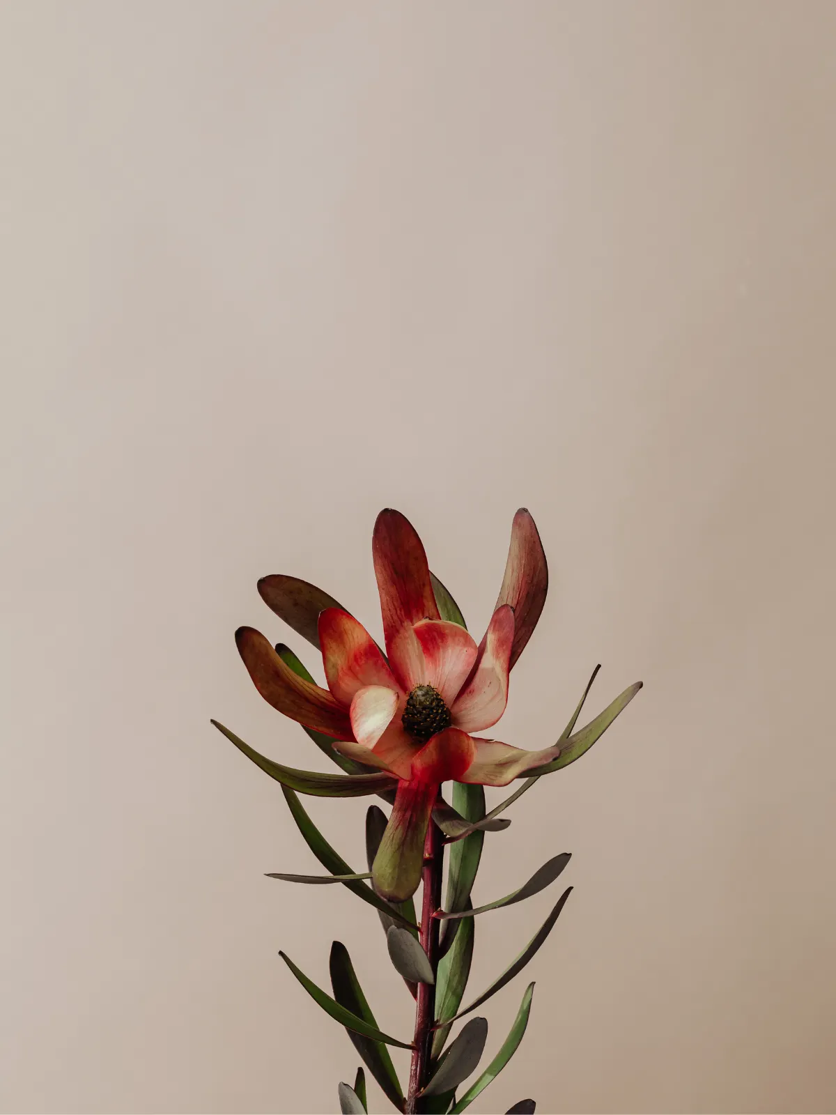 beneficios de la sexologia online - azul psicoloxia