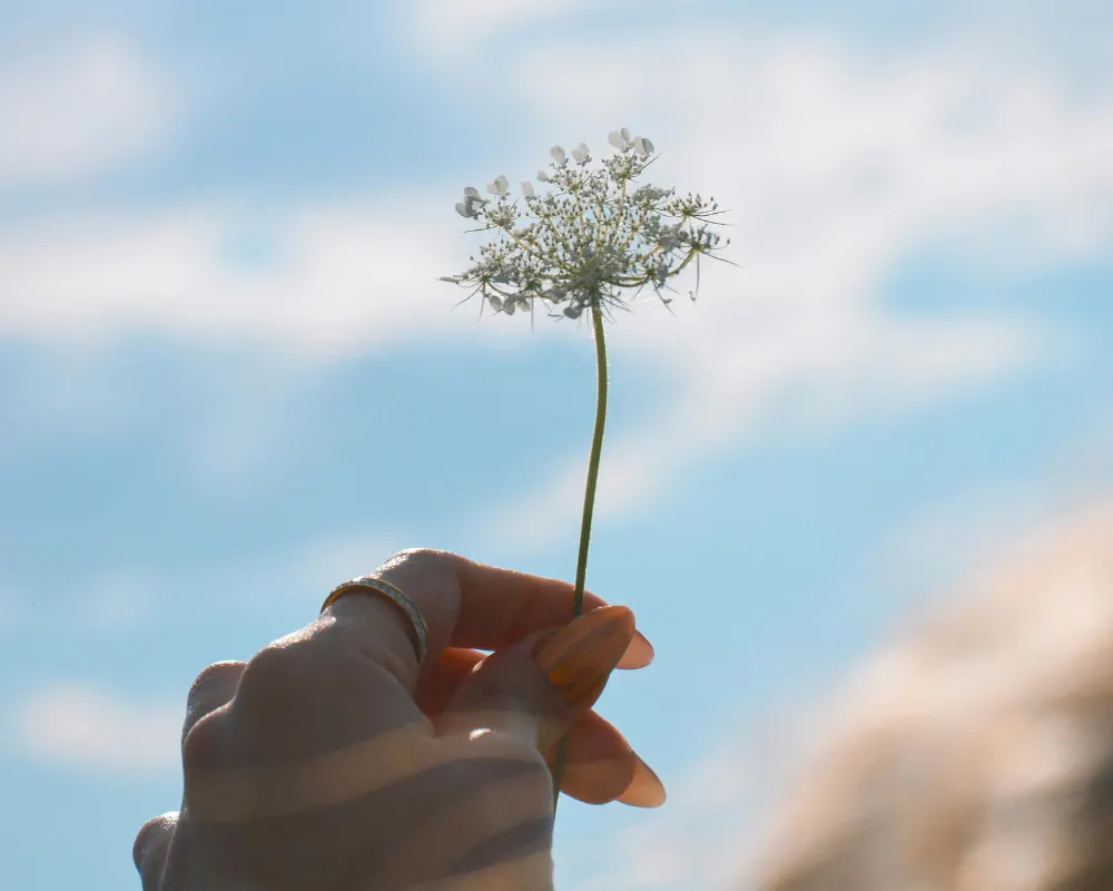 beneficios de la terapia para sanar el trauma - azul psicoloxia