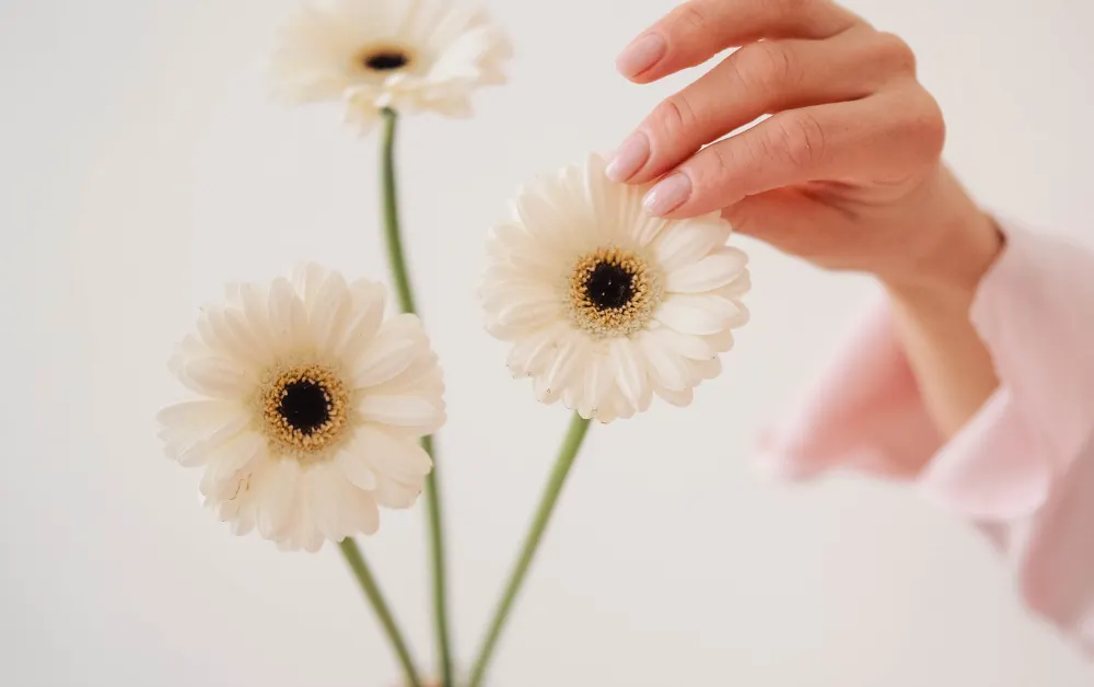 como funciona la terapia online - paso 2