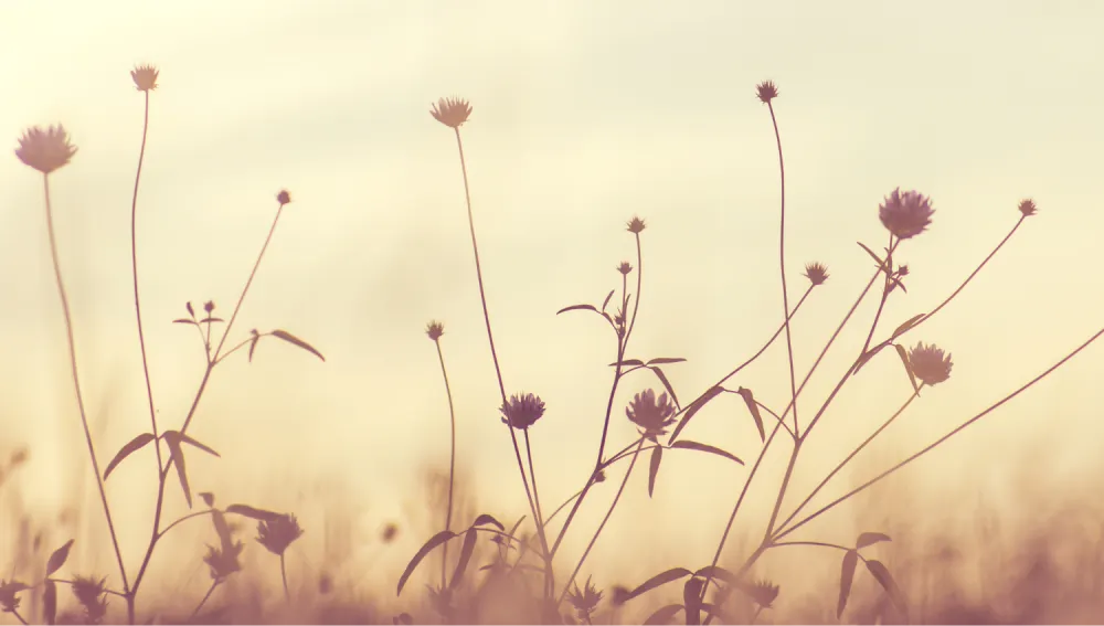 comunicacion e intimidad - sexologia online