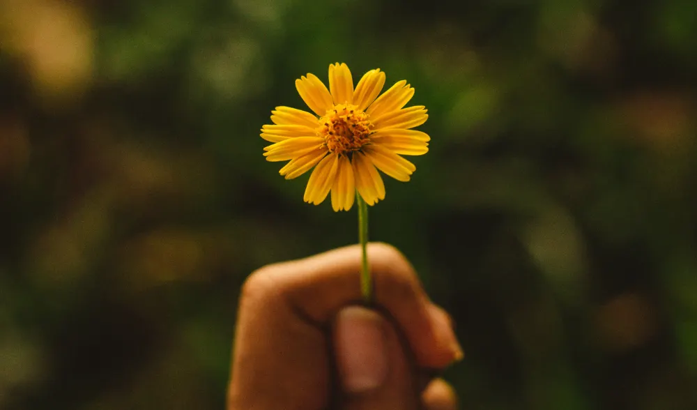 psicologa online especialista en trauma - azul psicoloxia (1)