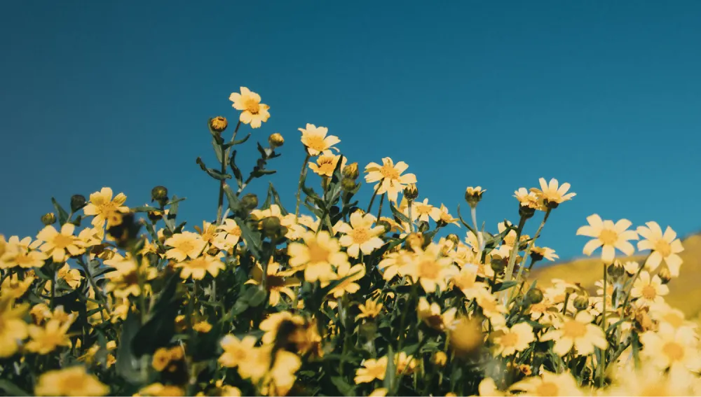 sexualidad despues de experiencias dificiles - sexologa online